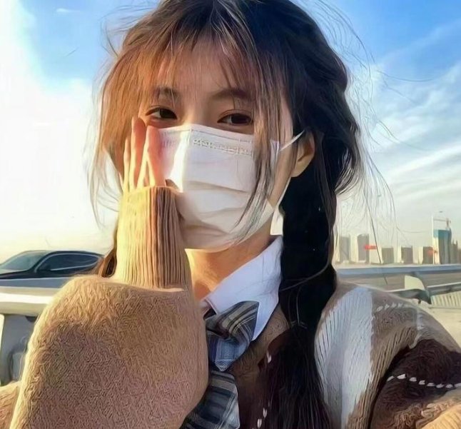 女朋友1955 海报