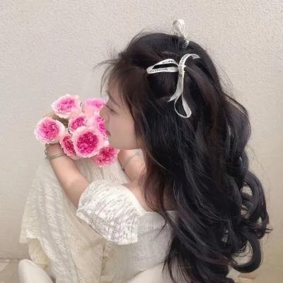 保罗和宝拉传奇 海报